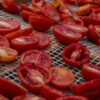 Pomodorino Ciliegino Biologico essicato al Sole di Sicilia  200 gr